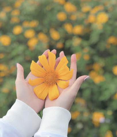 Bắt đầu từ những điều nhỏ nhặt